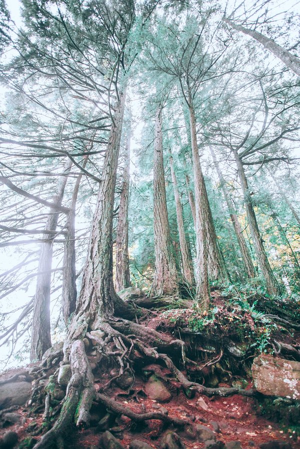 Quel est le temps de sommeil pour une personne âgée ?